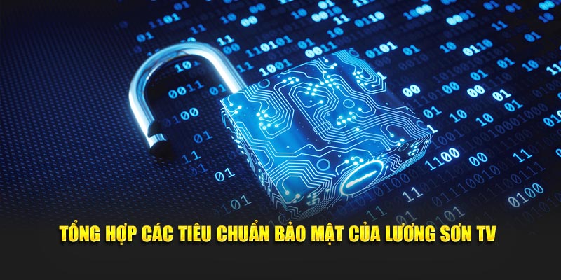Tổng hợp các tiêu chuẩn bảo mật của Lương Sơn TV